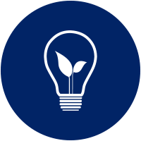 bulb icon